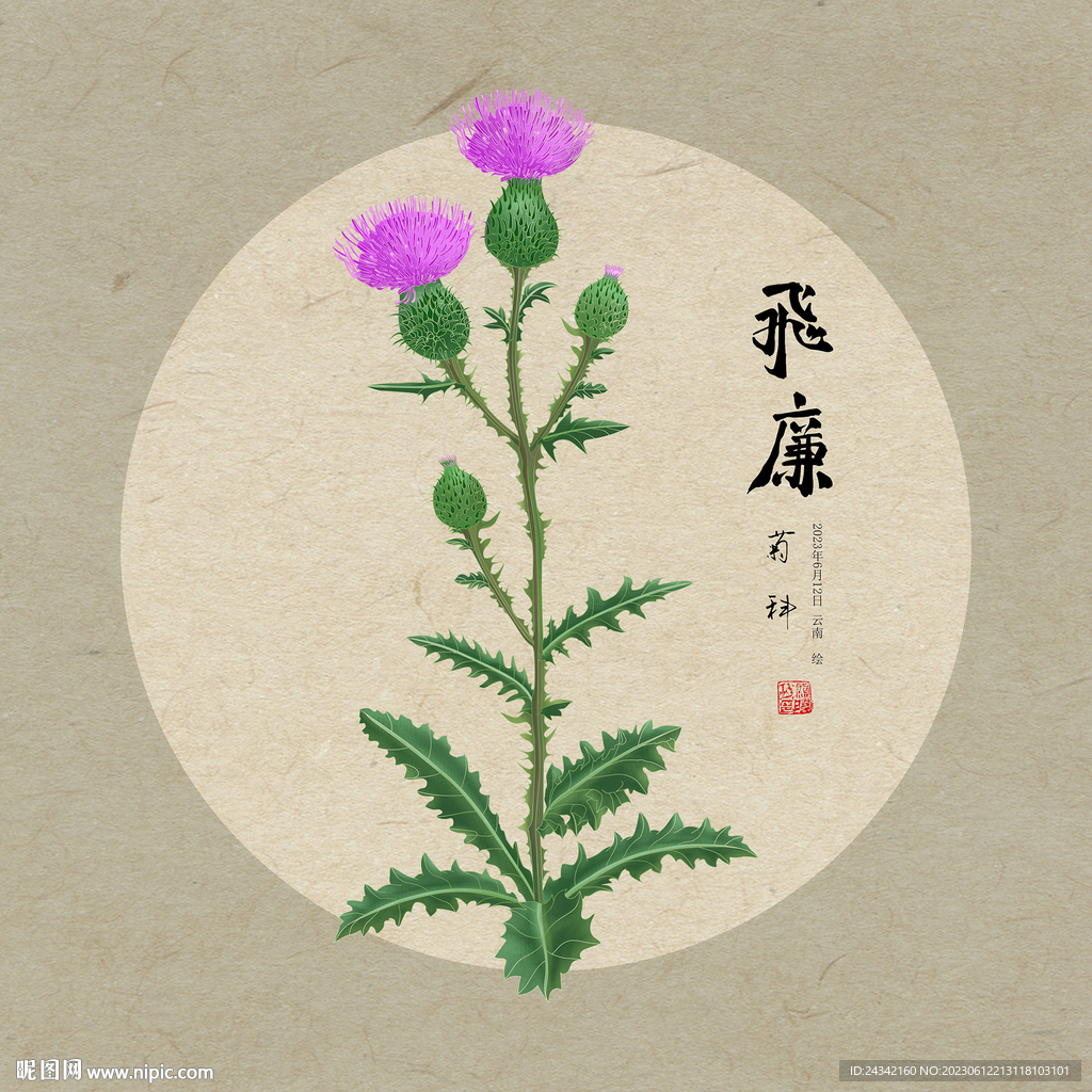 手绘飞廉 