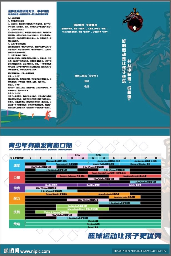 篮球俱乐部三折页