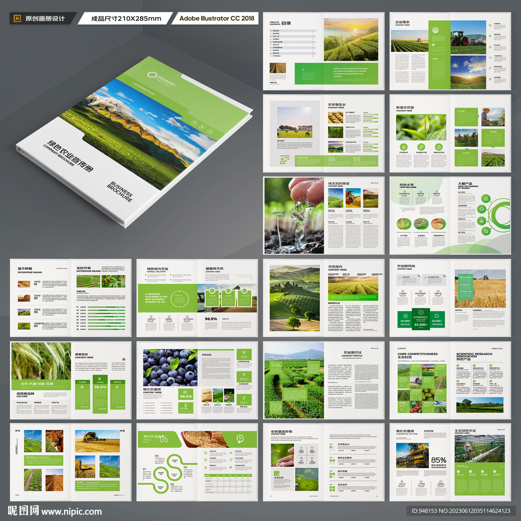 农业合作社画册