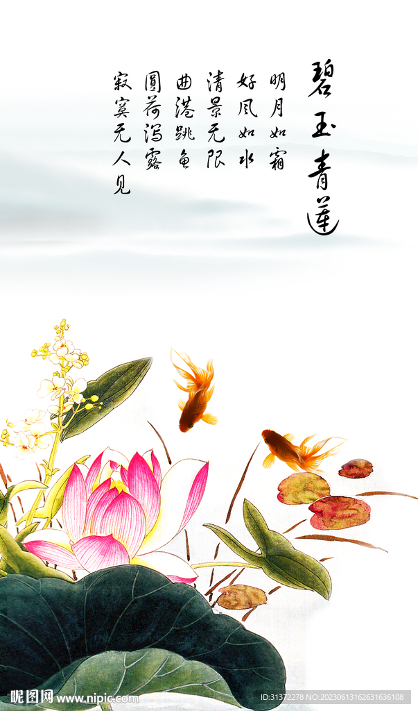 荷花金鱼