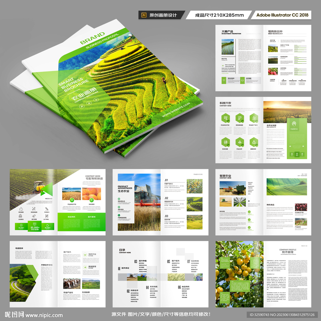 农产品宣传册
