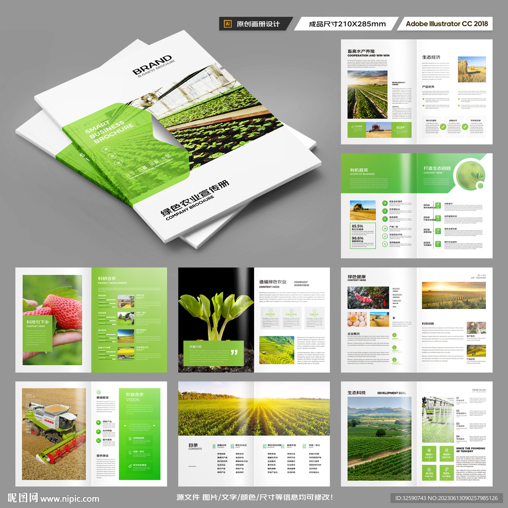 农产品宣传册