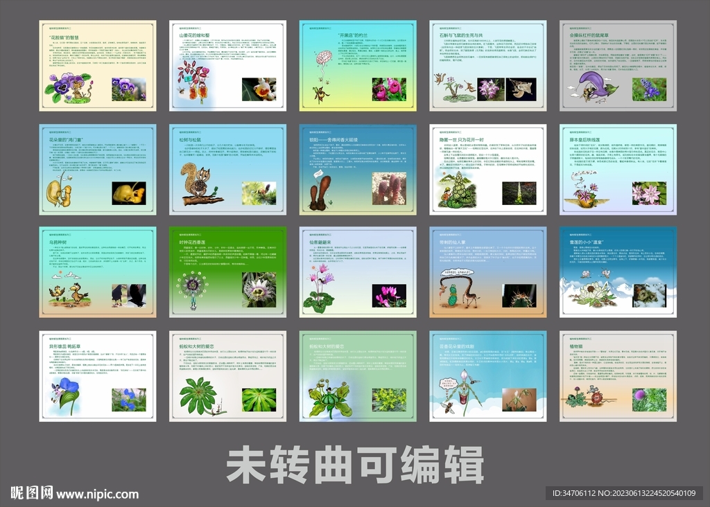 绿色东莞生态植物园植物科普展示