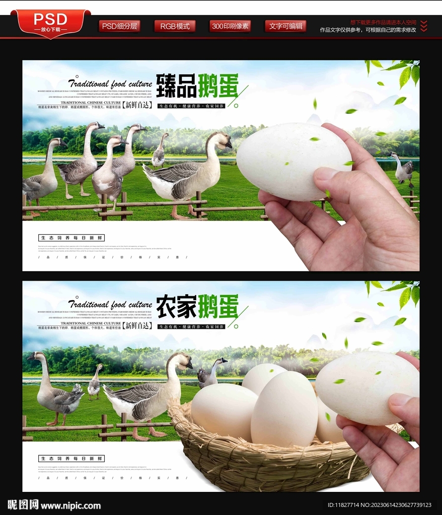 鹅蛋
