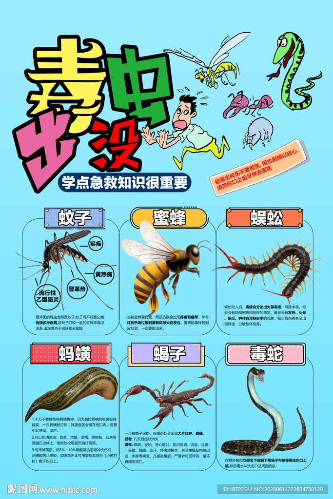 毒虫出没 学点急救知识很重要