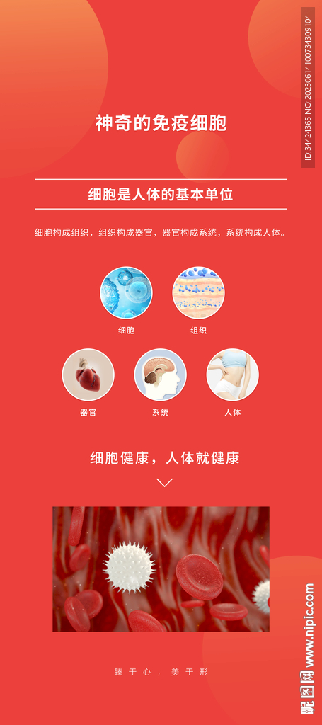 大健康
