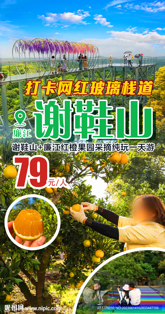 廉江谢鞋山摘红橙旅游海报微信图