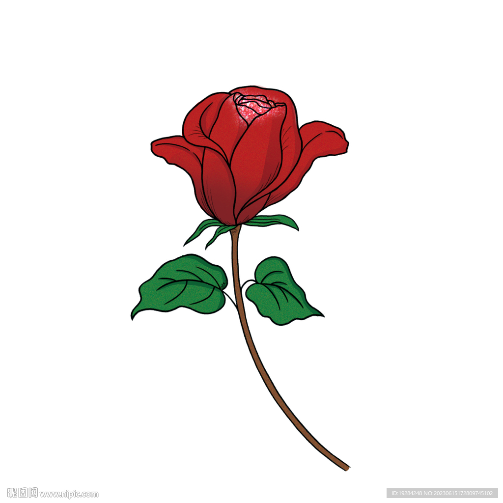 玫瑰花