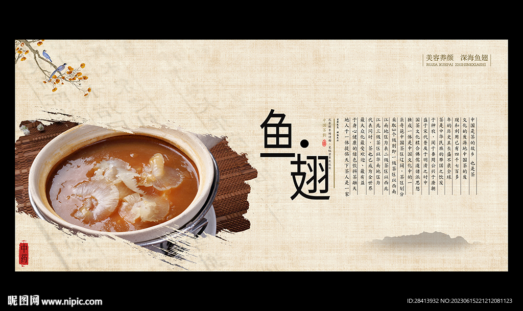 鱼翅