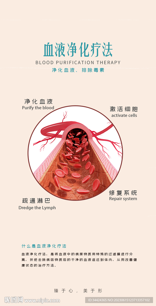 血液净化