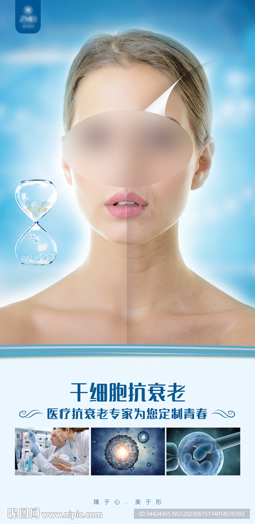 干细胞