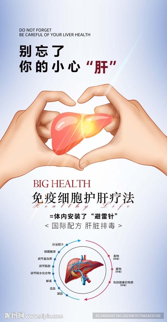 肝脏养护