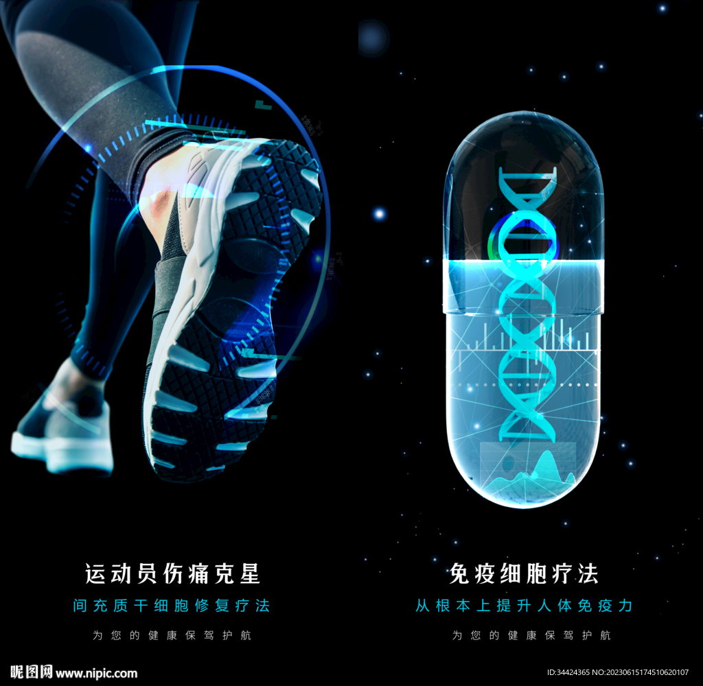 干细胞