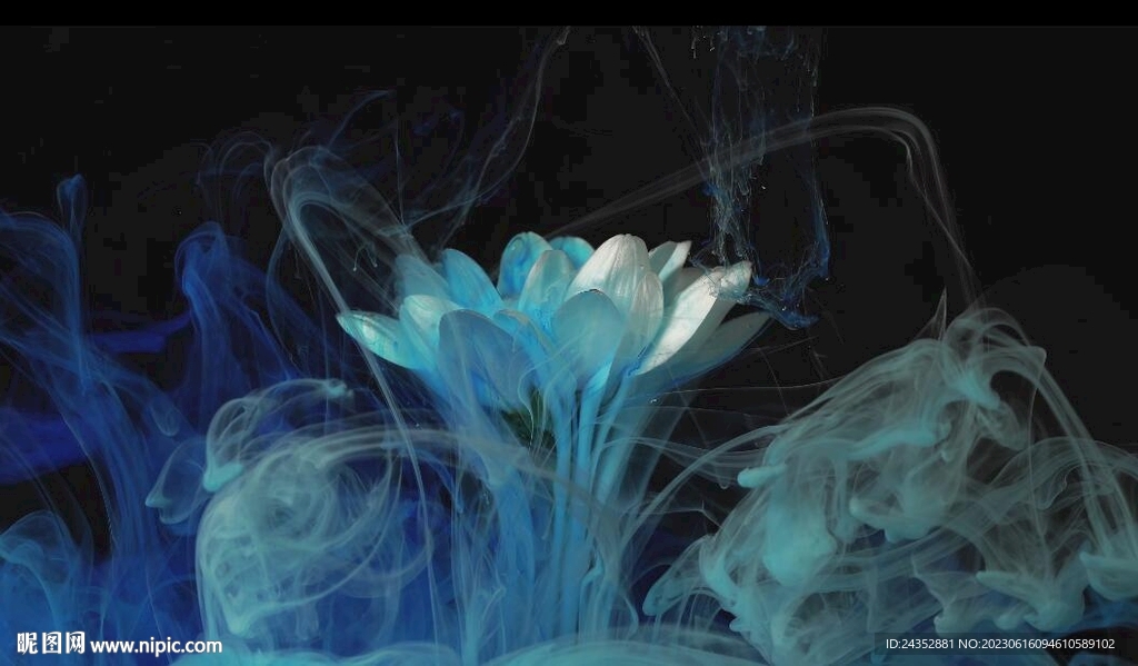 水墨鲜花 烟雾晕染影