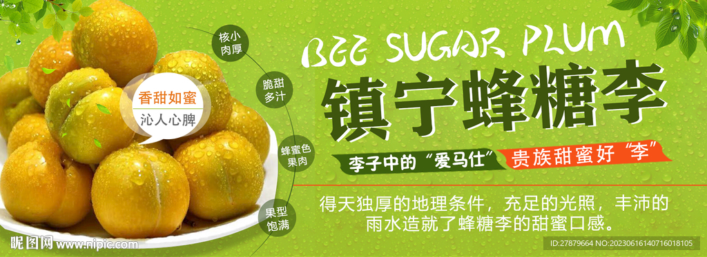 蜂糖李灯片
