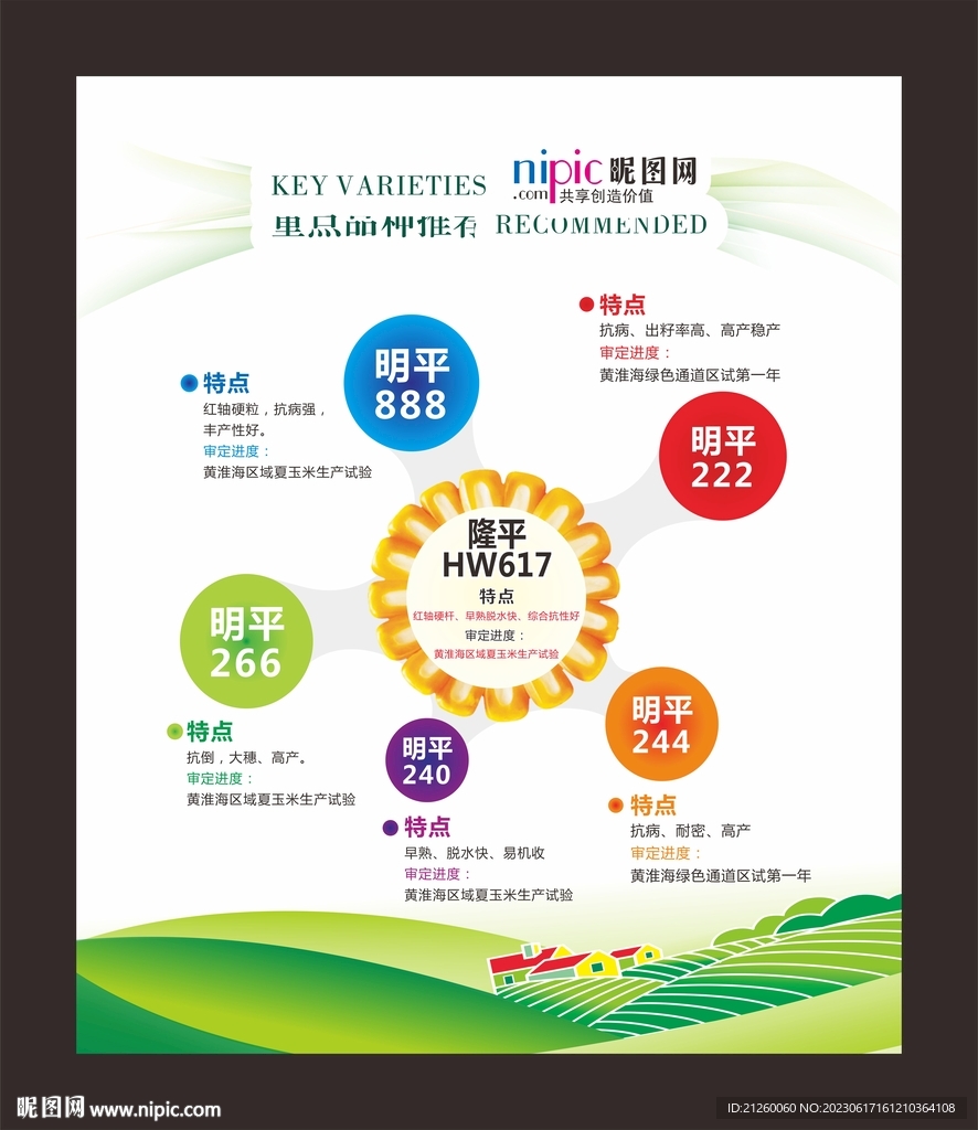 玉米宣传