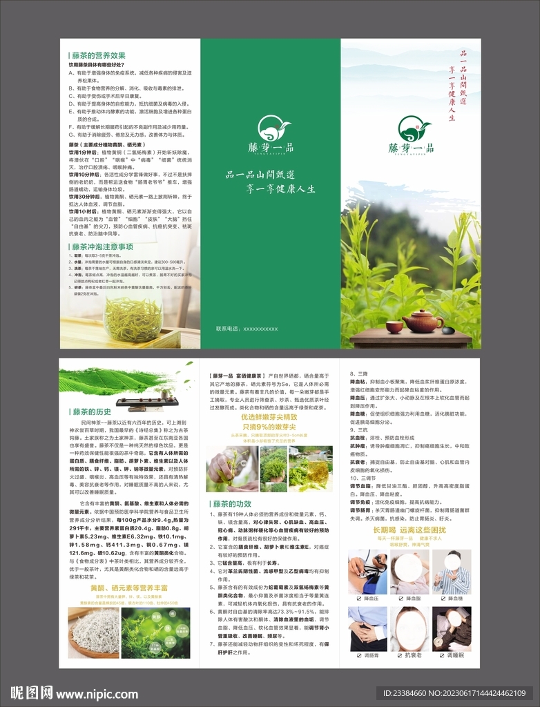茶  三折页
