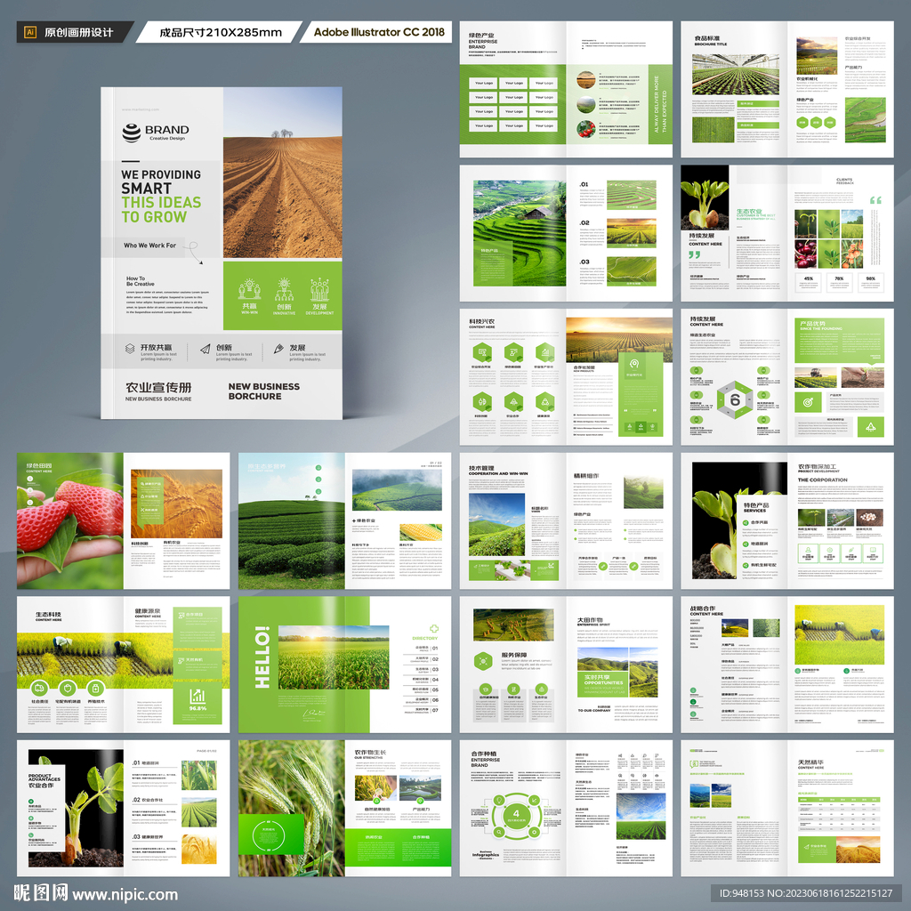 农业合作社画册