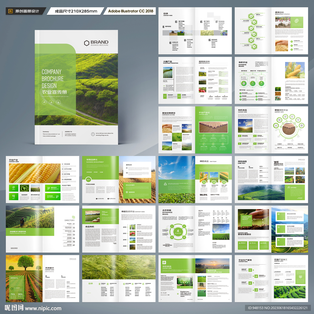 农业合作社画册
