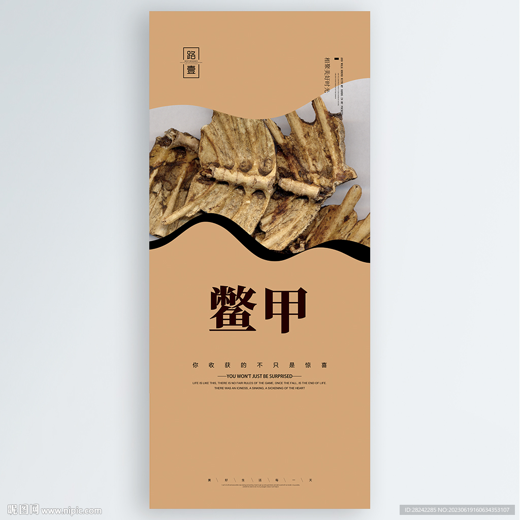 鳖甲
