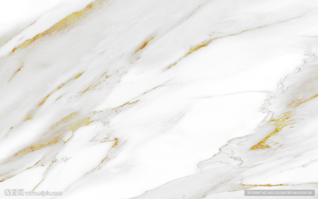 最 新金线鱼肚白 Tif合层