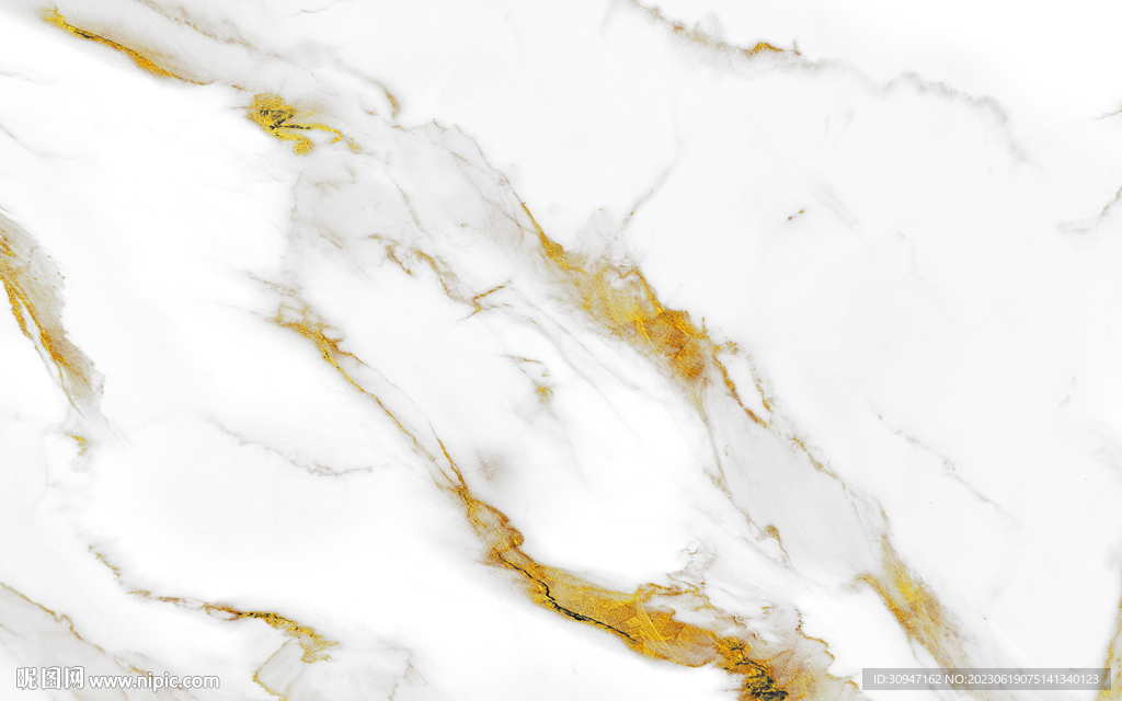 高档 新金线鱼肚白 Tif合层