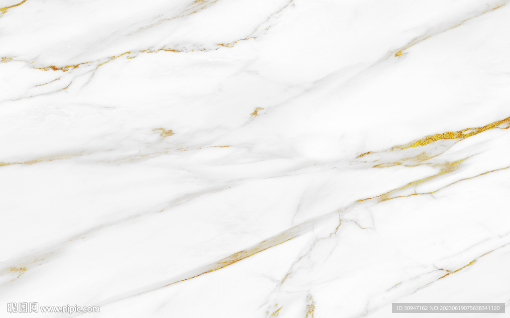 豪华 新金线鱼肚白 Tif合层