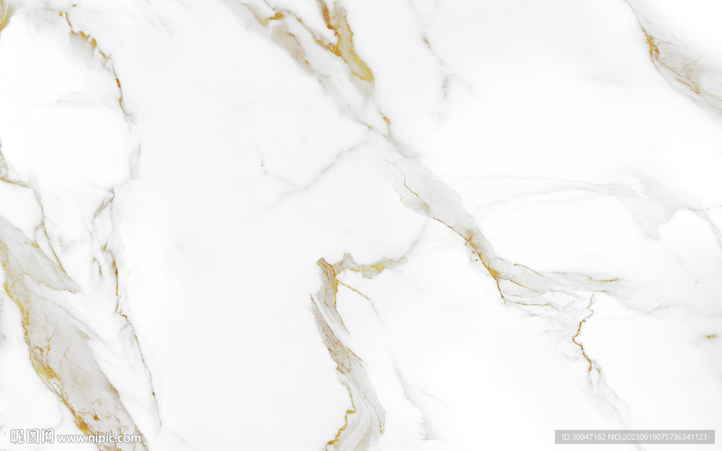 奢华 新金线鱼肚白 Tif合层