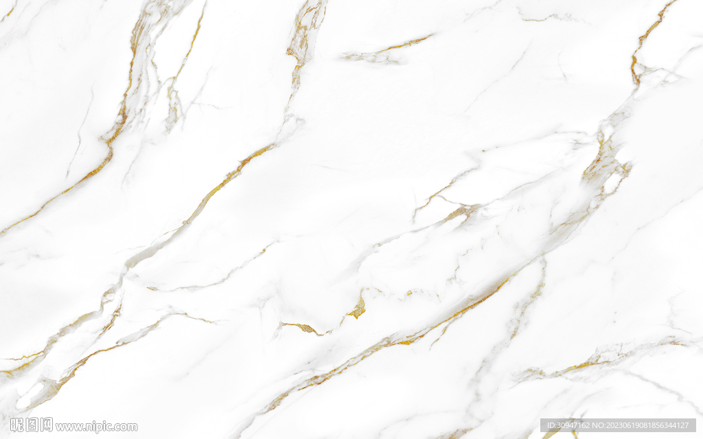 高雅 金色新鱼肚白 Tif合层