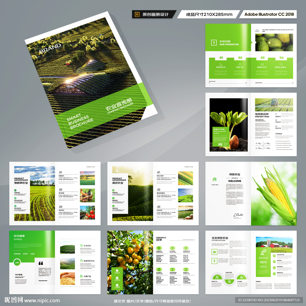 农产品宣传册