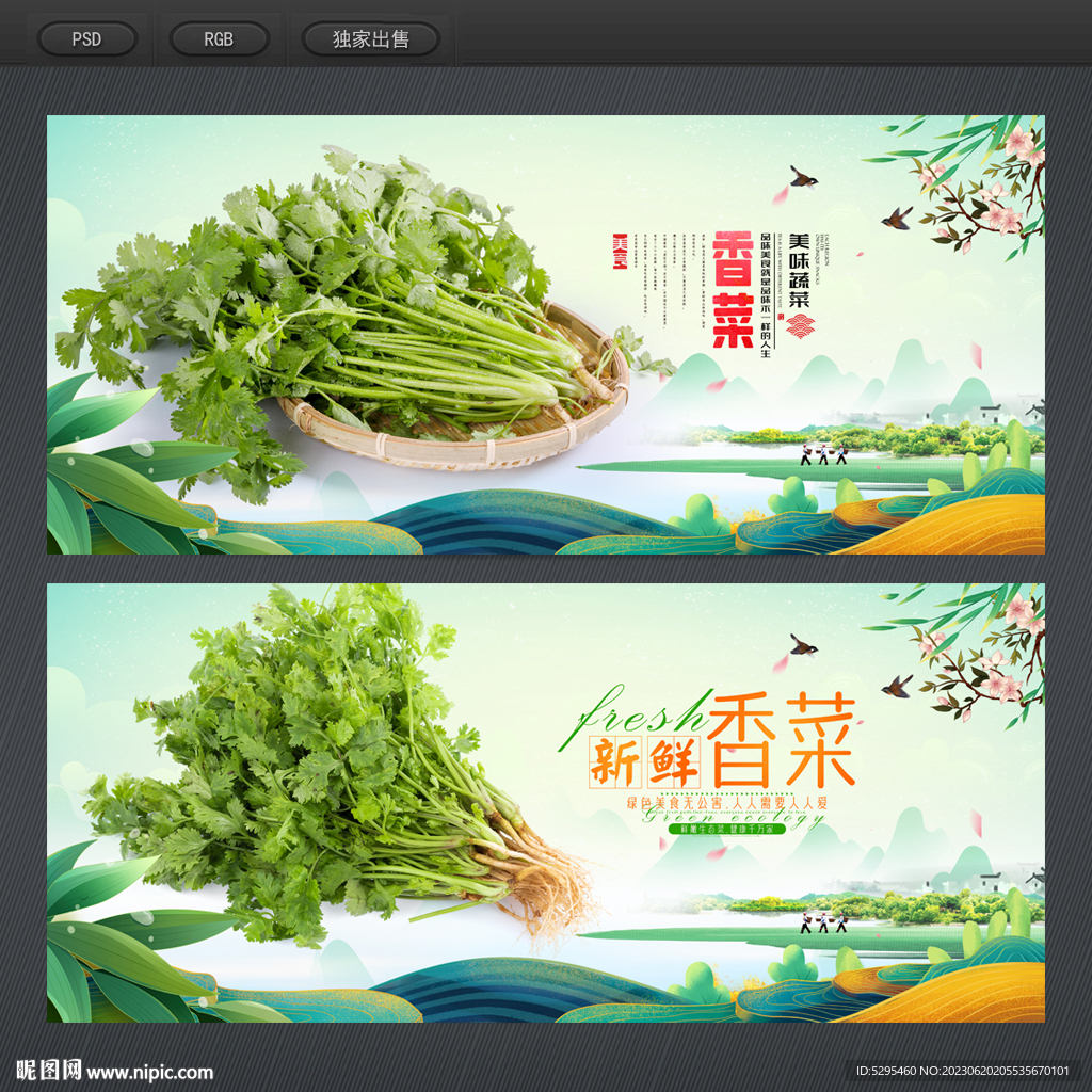 香菜