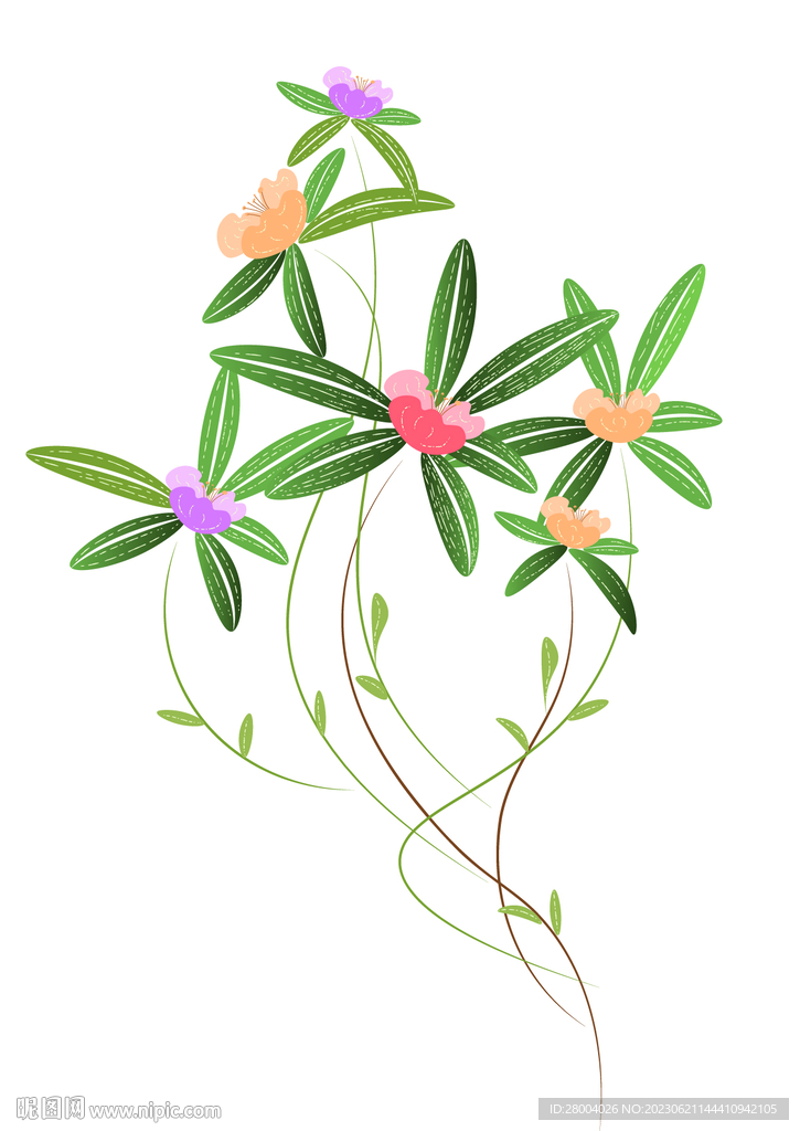 矢量手绘花束
