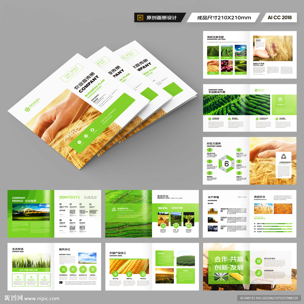 方形农业宣传册