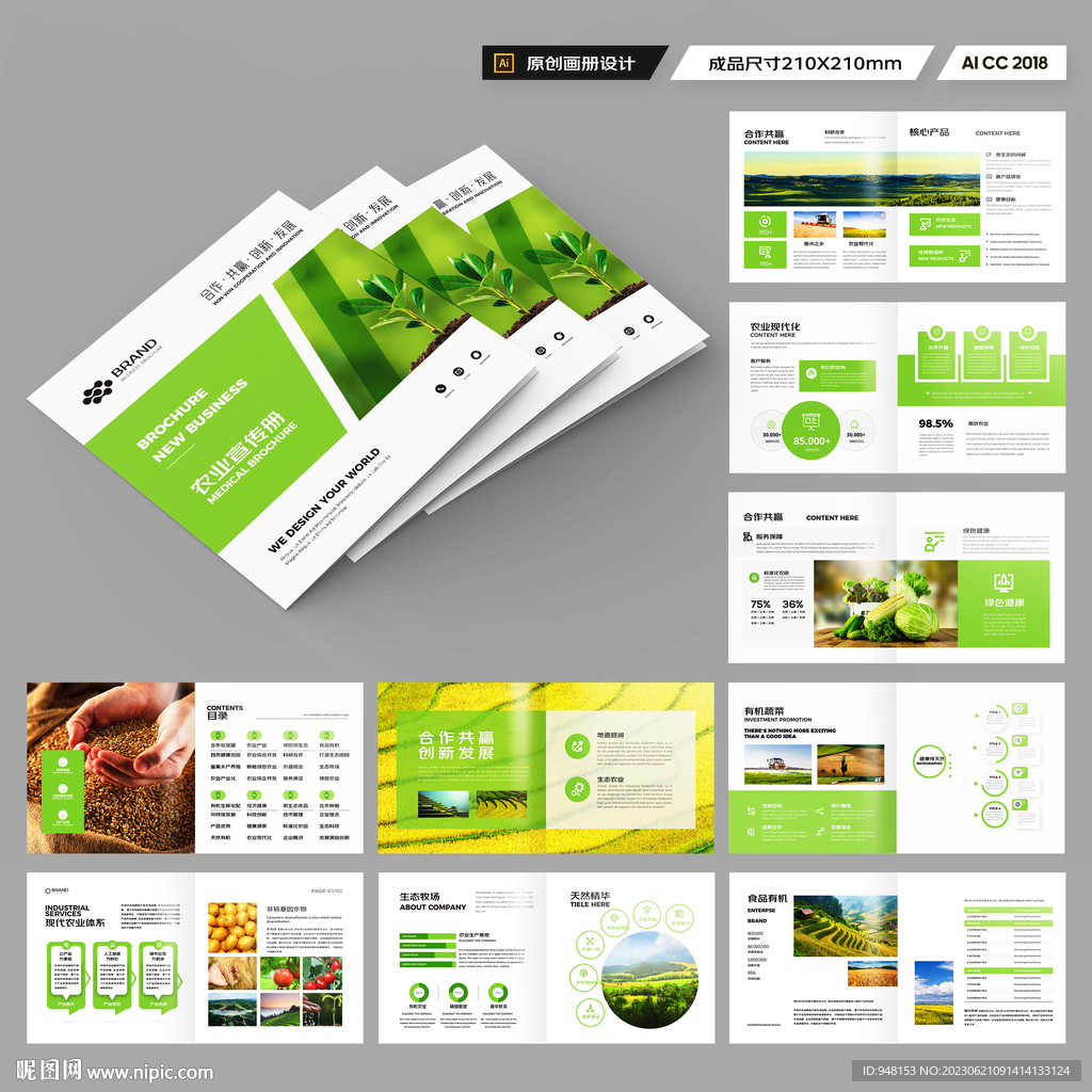 方形农产品宣传册