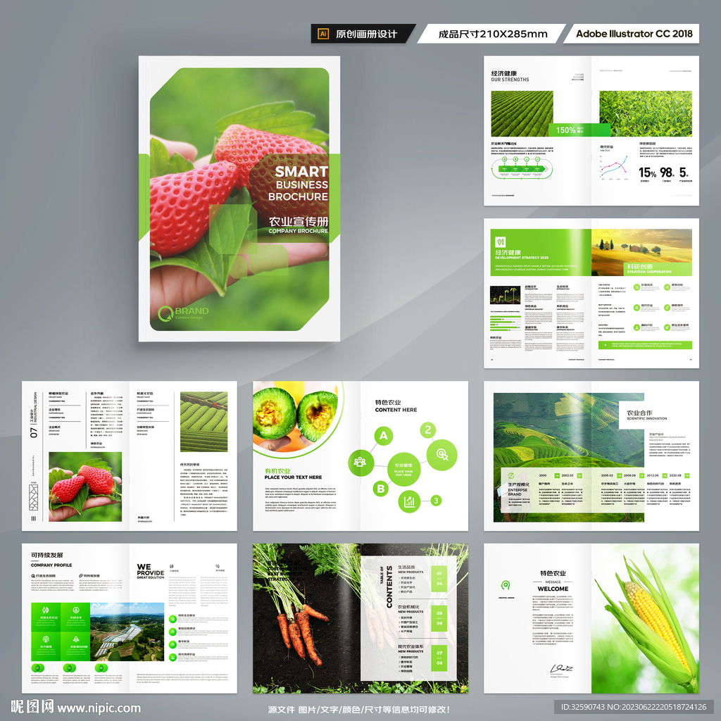 农产品宣传册