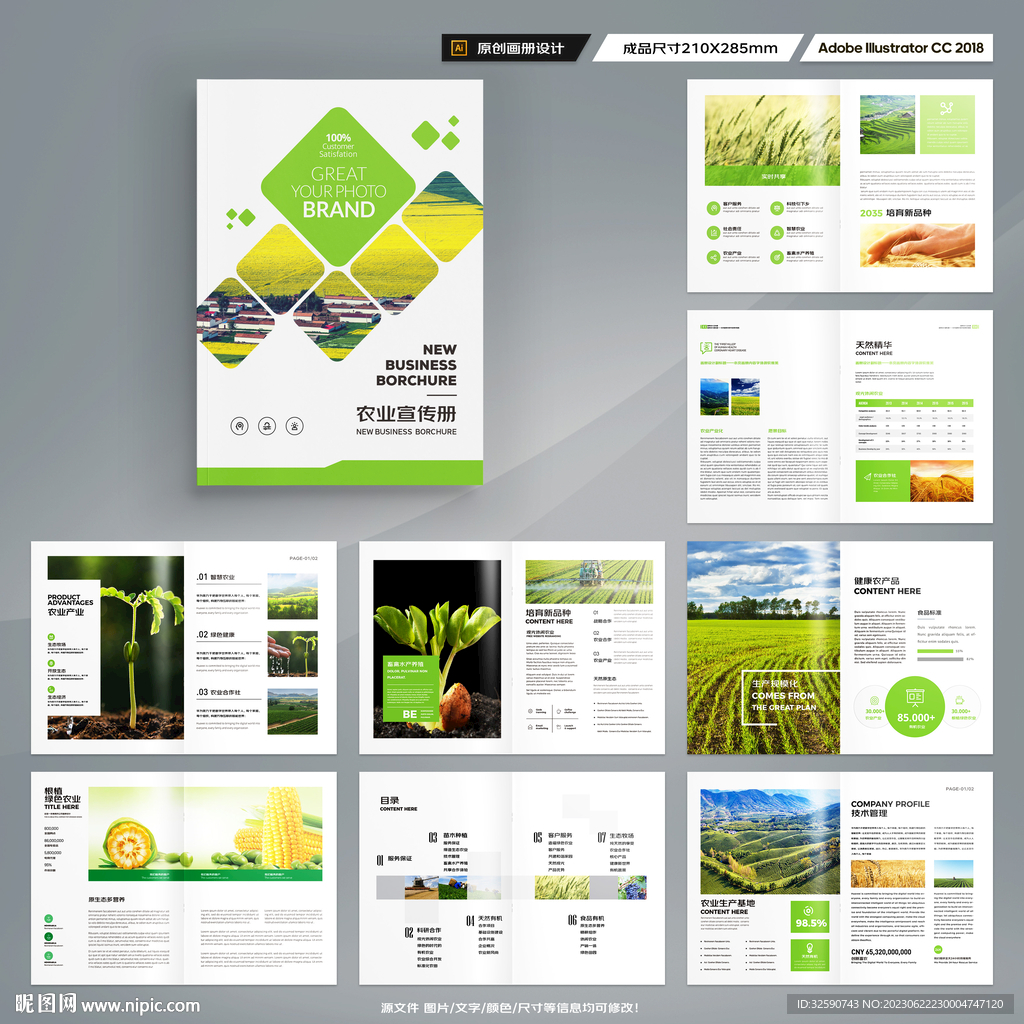 农产品宣传册