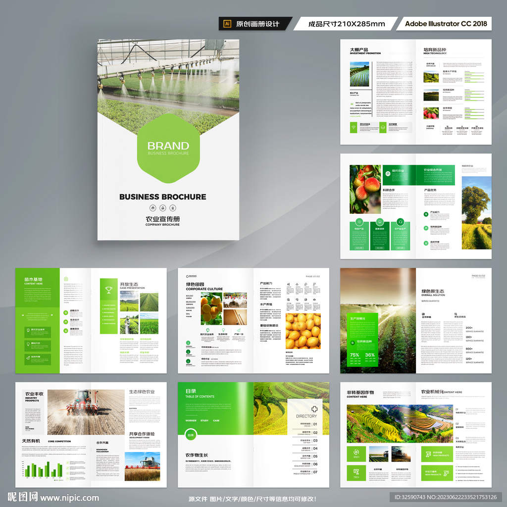 农产品宣传册
