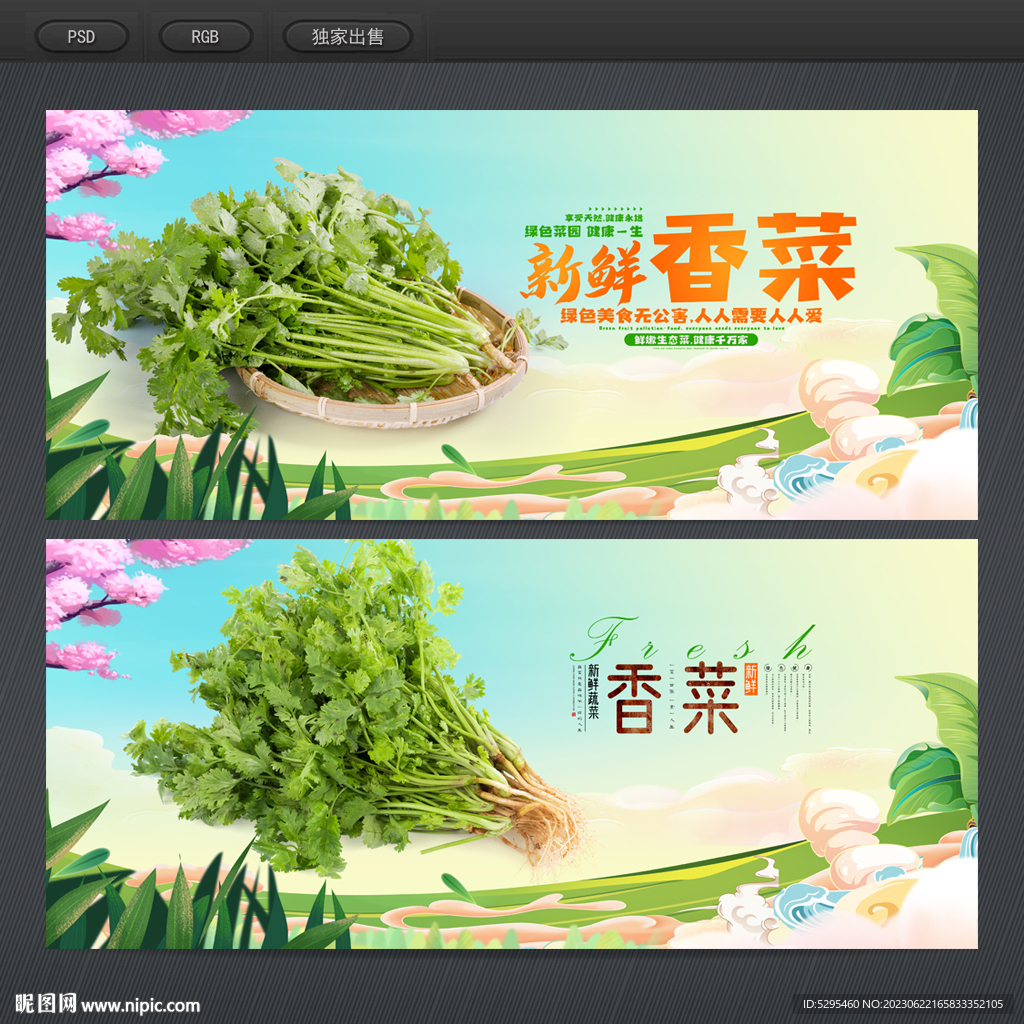 香菜