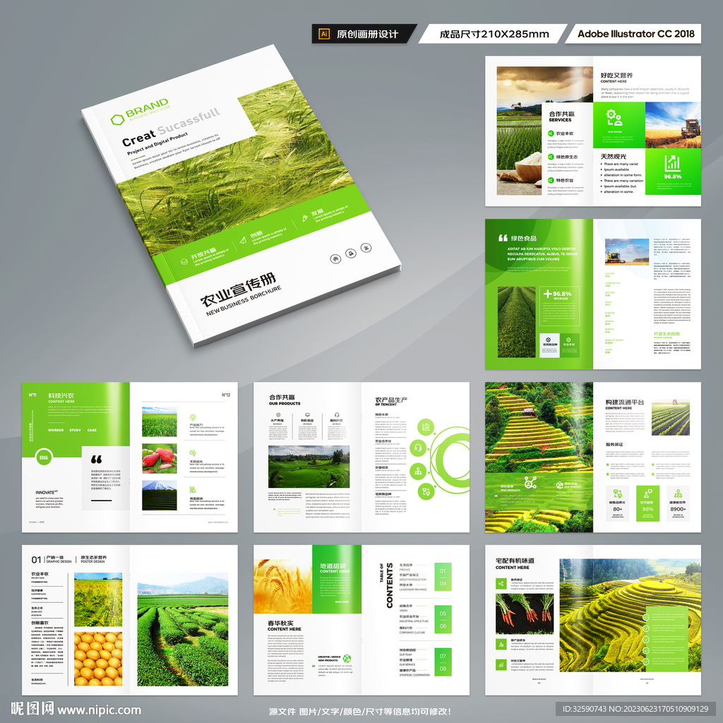 农产品宣传册