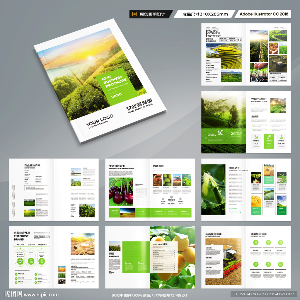农产品宣传册