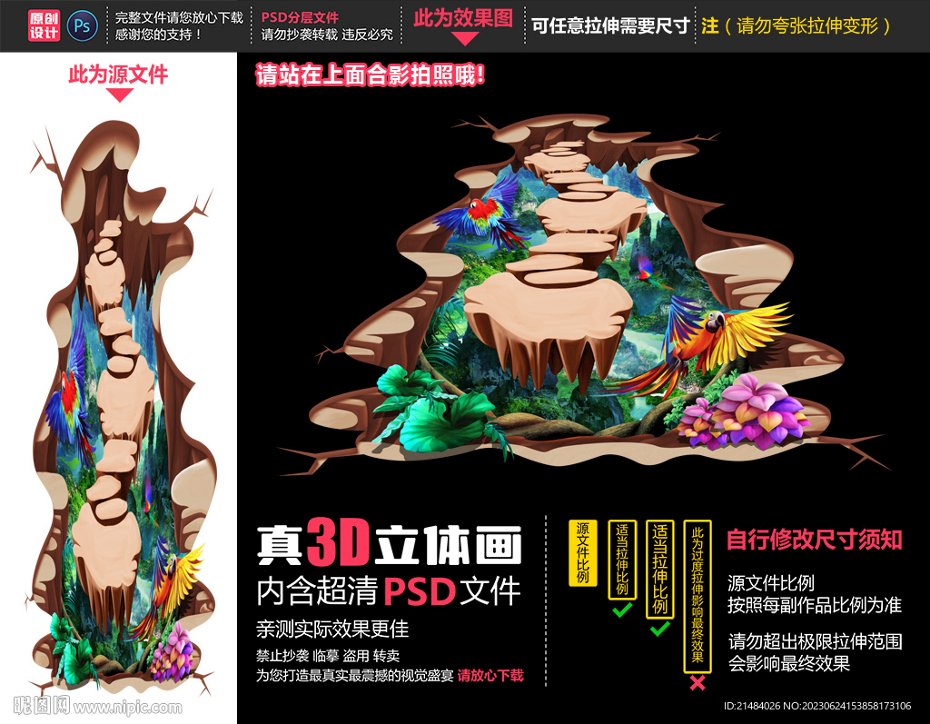 鹦鹉立体画