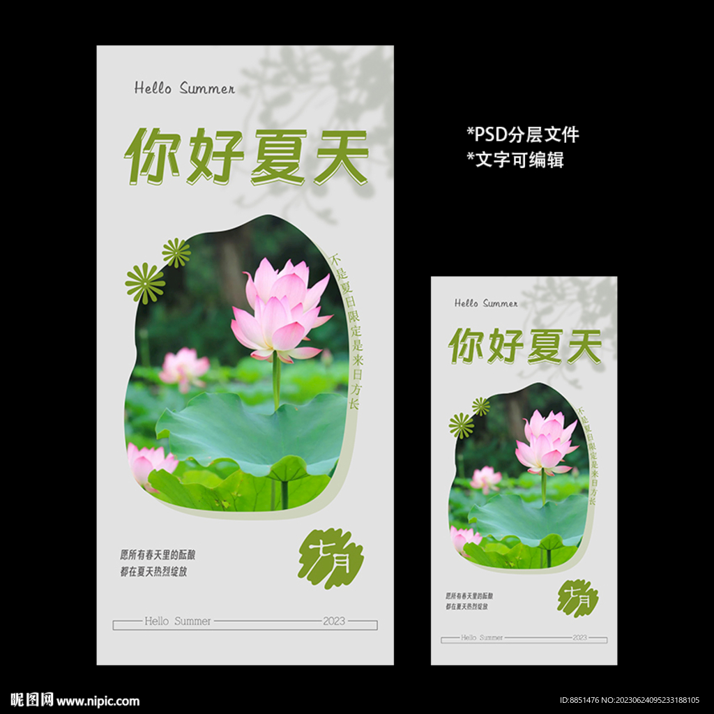 你好  夏天