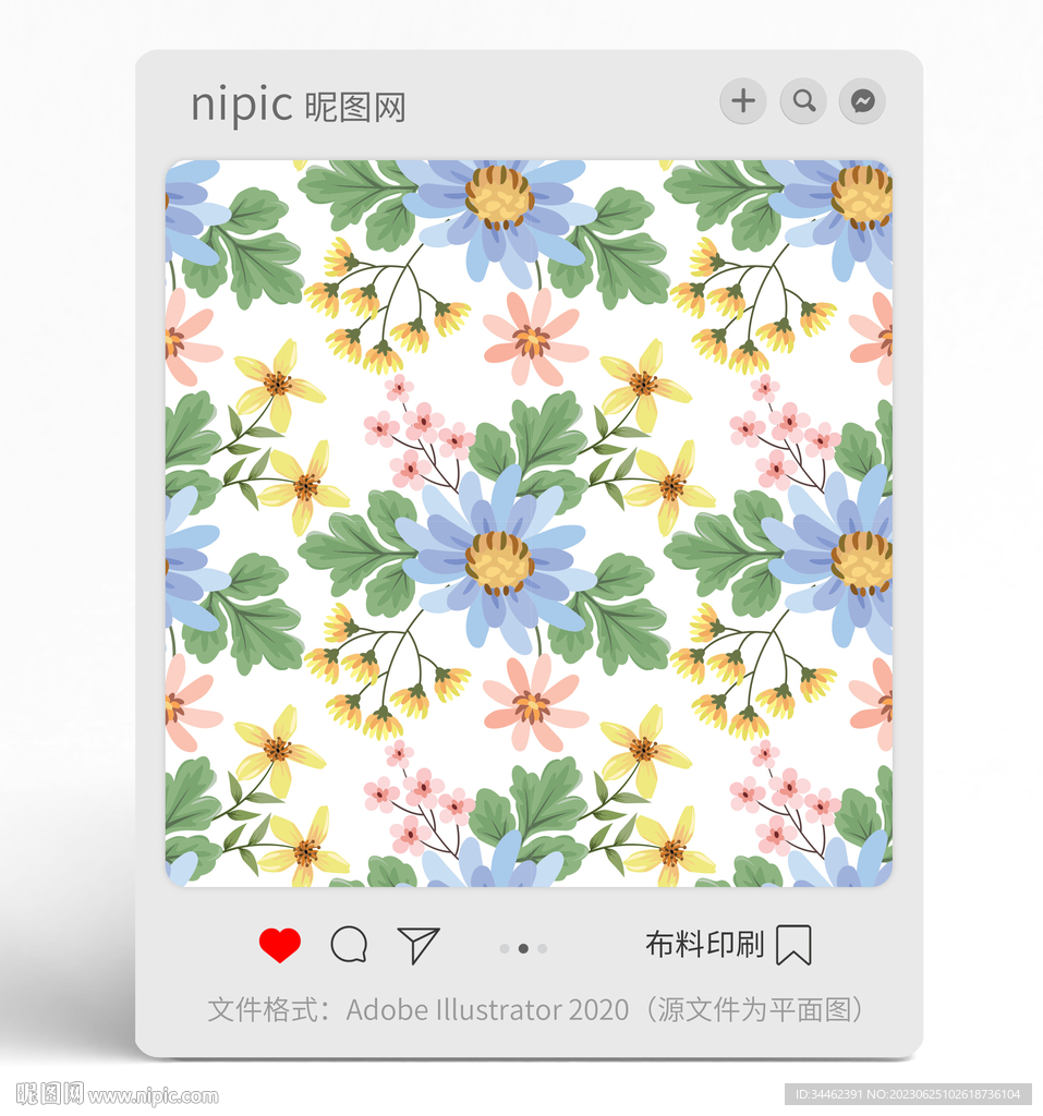 花朵花卉花纹 