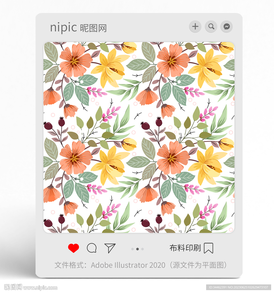 花朵花卉花纹