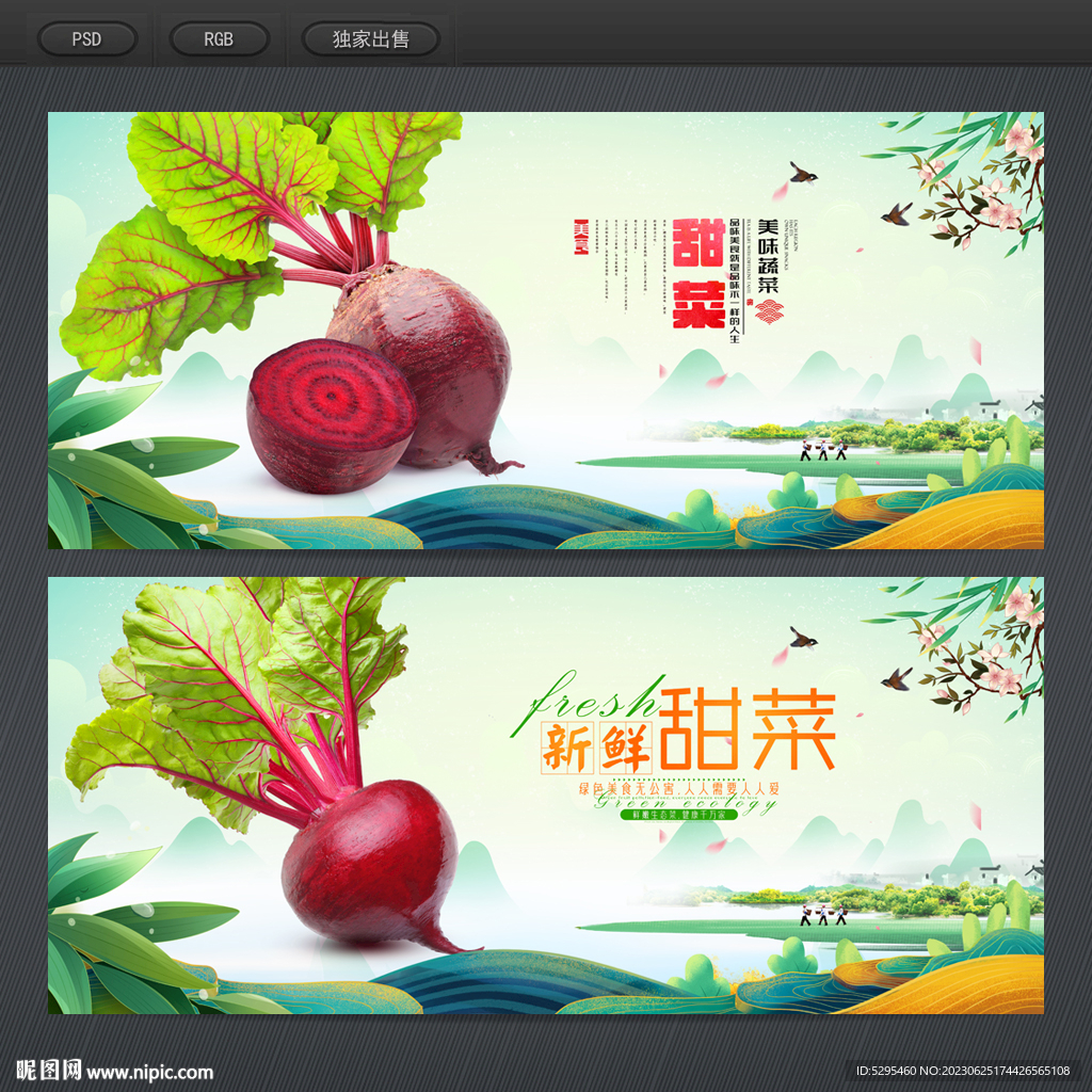 甜菜