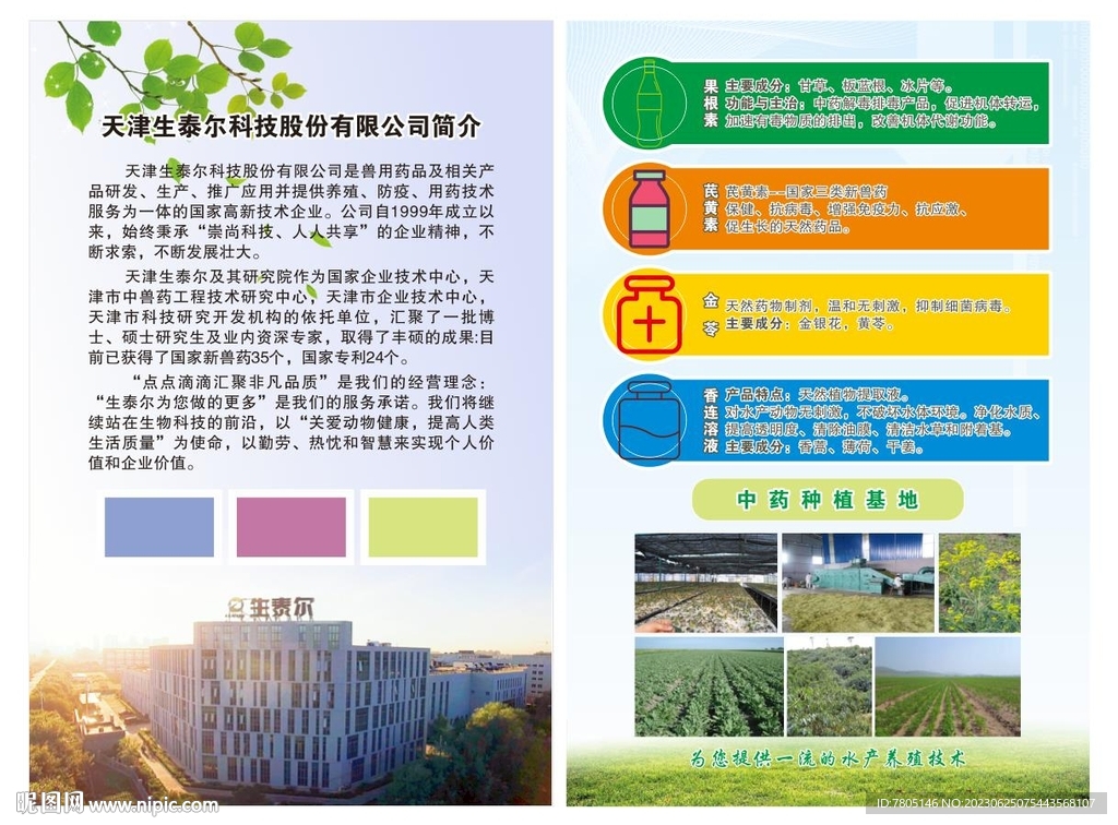 企业彩页