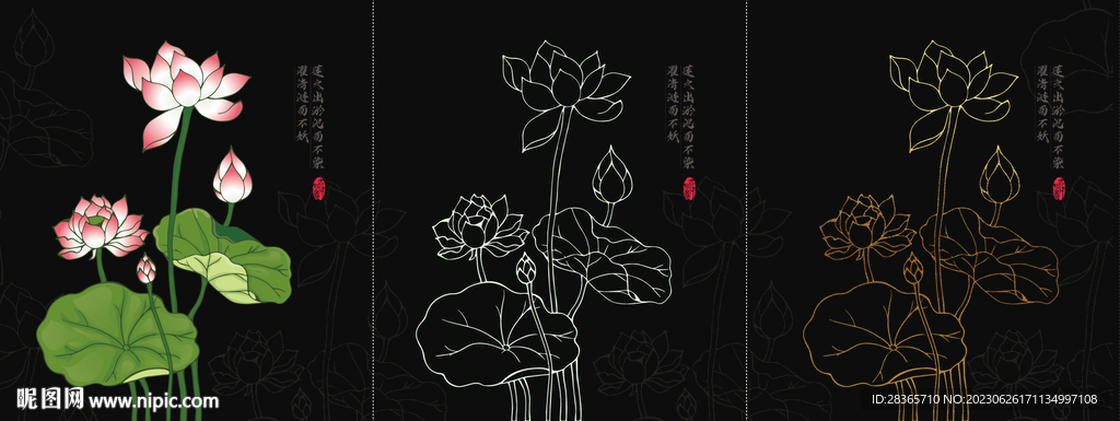 矢量荷花