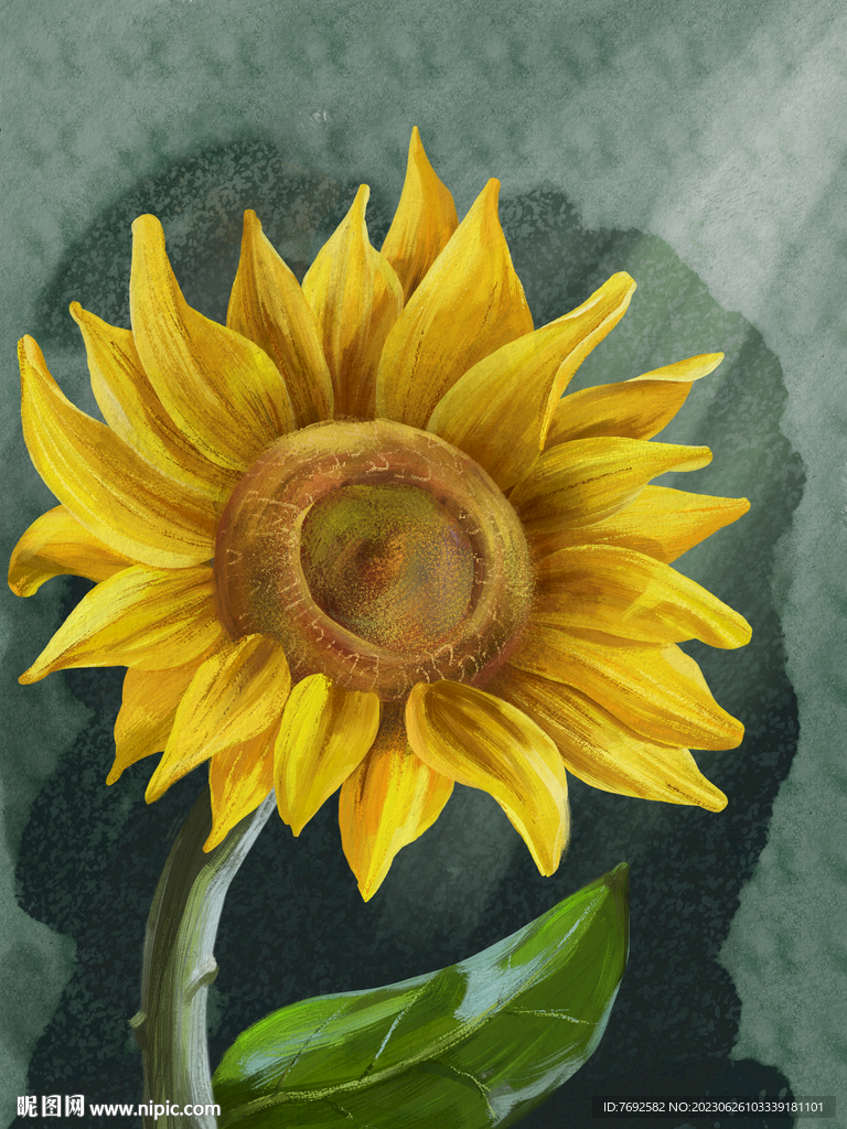 手绘复古油画黄色向日葵叶子花朵