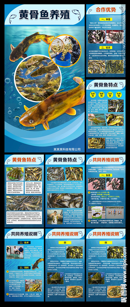 黄骨鱼养殖H5