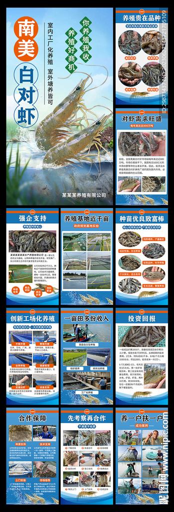 南美白对虾养殖